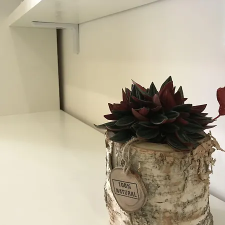 Terrazza Aragon And 3* Neapol